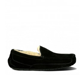 UGG Mens Ascot Black