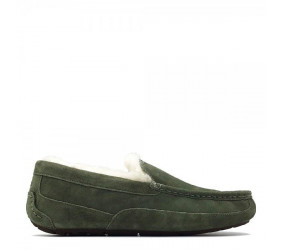 UGG Mens Ascot Burnt Olive