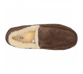 UGG Mens Ascot Chocolate