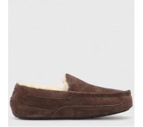 UGG Mens Ascot Chocolate