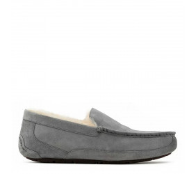 UGG Mens Ascot Crey