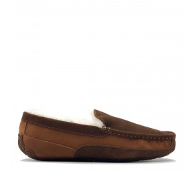 UGG Mens Ascot Gognac