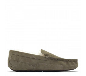 UGG Mens Ascot Olive