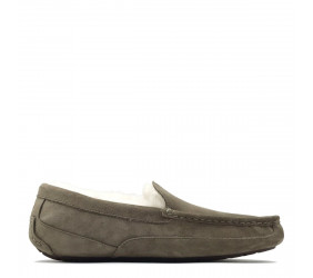 UGG Mens Ascot Taupe