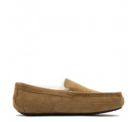 UGG Mens Ascot Chestnut